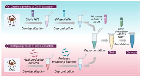 Quaternized Chitosan: Biocompatibility Champion for Regenerative Medicine and Drug Delivery Systems!