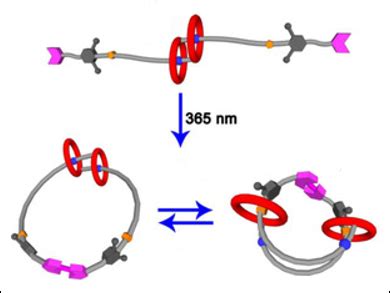  Rotaxanes: Soluzioni rivoluzionarie per l'ingegneria molecolare e la nanotecnologia farmaceutica?