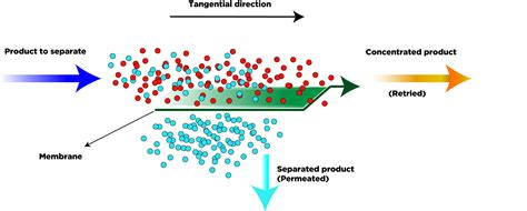  Ultrathin Nanoporous Membranes: La Chiave per la Separazione Avanzata e la Cattura del CO2?